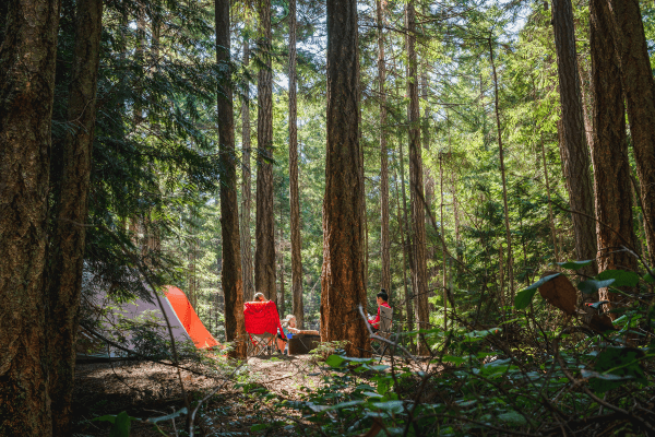 Preparing for Your Summer Camping Adventure: Essential Tips and Gear for Balmy Nights Under the Stars