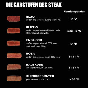 Camplux SG102 Tragbar Oberhitze Gasgrill 3,2kW, Grill à steak haut sur acier, 880°C Grill à haute température avec 5 poêles à bois 